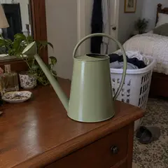 sage metal watering can, as photographed