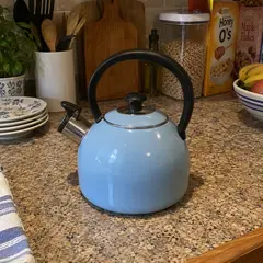 powder-blue enamel stovetop kettle, as photographed