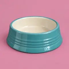 teal ceramic pet food bowl, as a cover photo