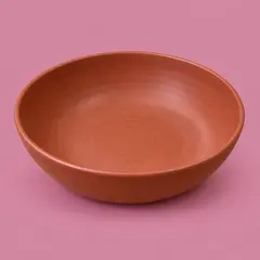 shallow matte rust-red ceramic serving bowl, as a cover photo
