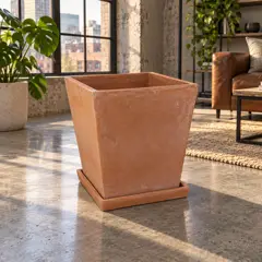 terracotta square planter, moved into a new room