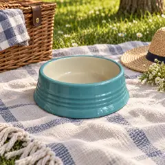teal ceramic pet food bowl, moved into a new room