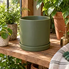 matte olive-green cylindrical ceramic planter, moved into a new room