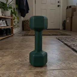 dark-green small hexagonal dumbbell, as photographed