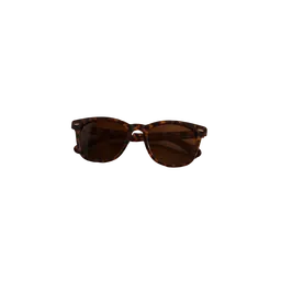 tortoiseshell sunglasses, background removed by Letti