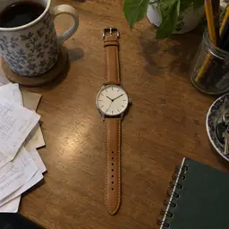 analog wristwatch, as photographed
