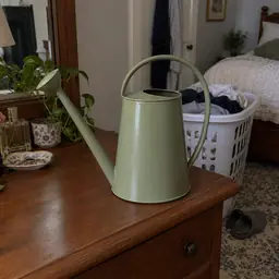 sage metal watering can, as photographed